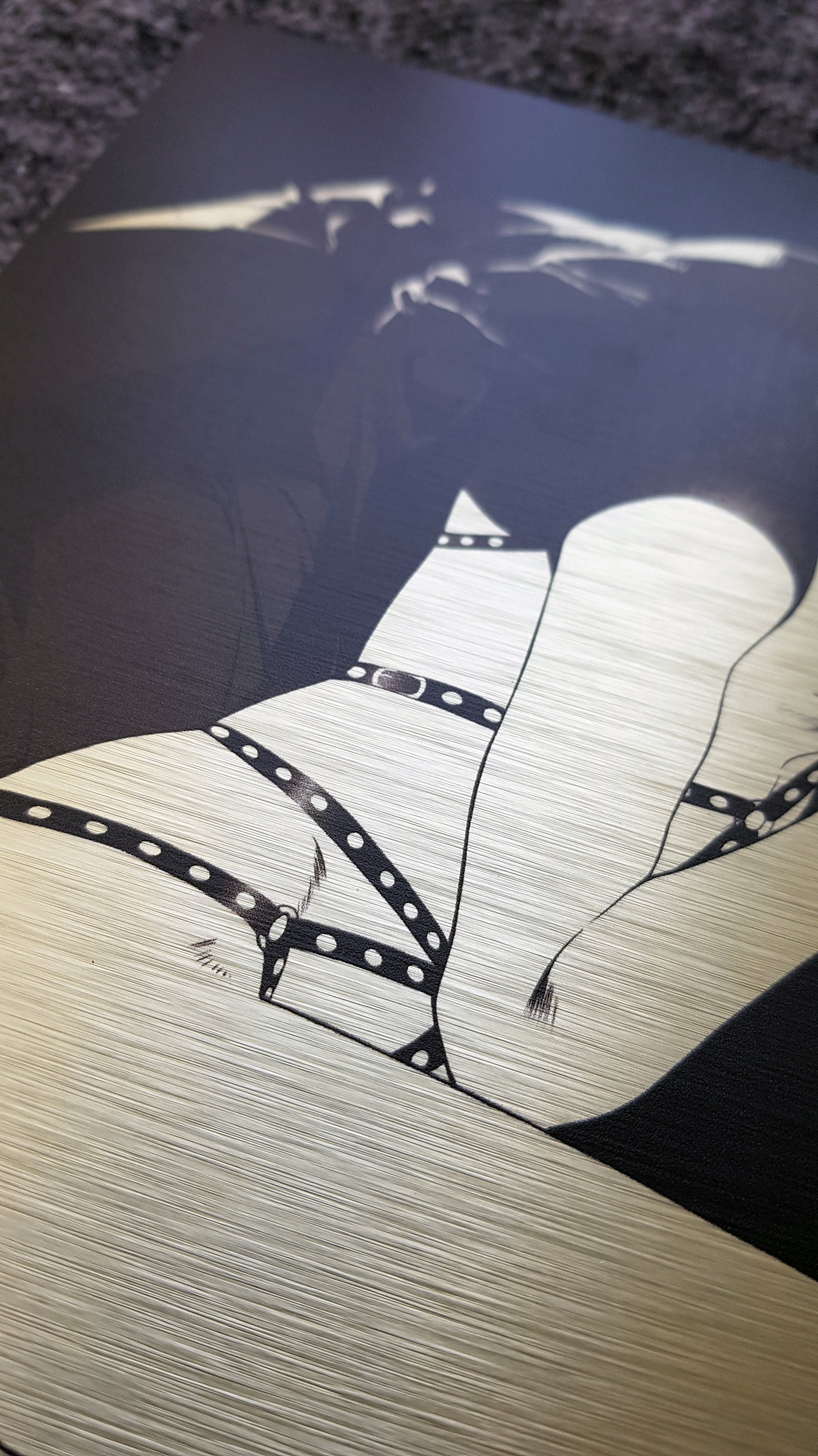 ALUM. COMP. PANEL Sunao and Hige Kink #6