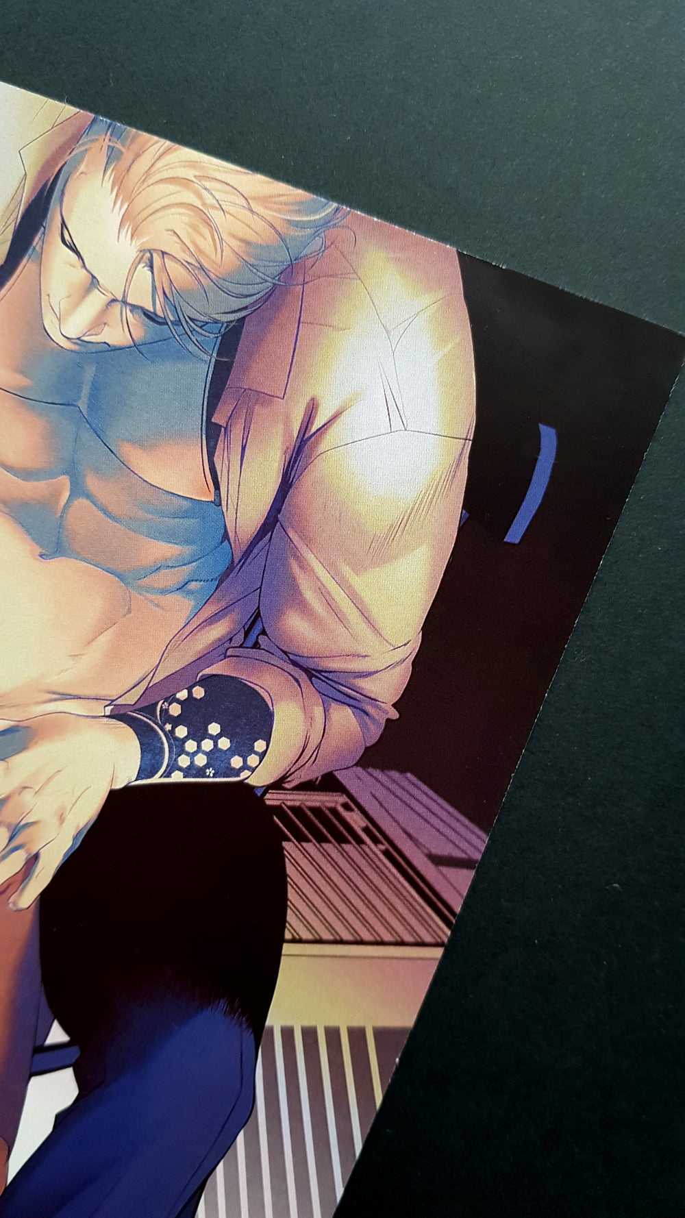 PRINTs HiddenKinky - Petplay 2