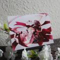 POSTCARD´s Puppenseele - EDIllustration