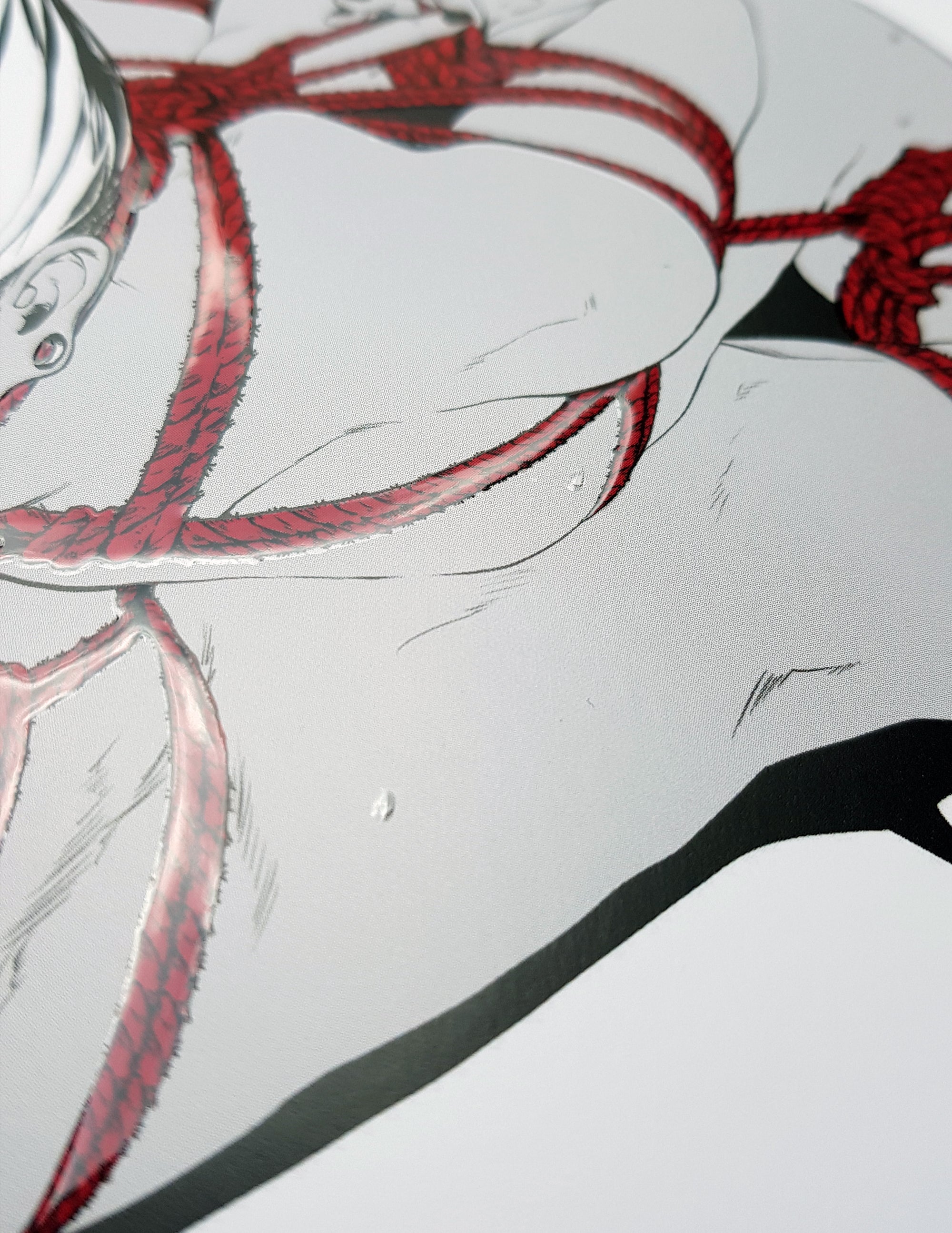 PRINT KINK21 - Shibari (partial relief varnish) - EDIllustration