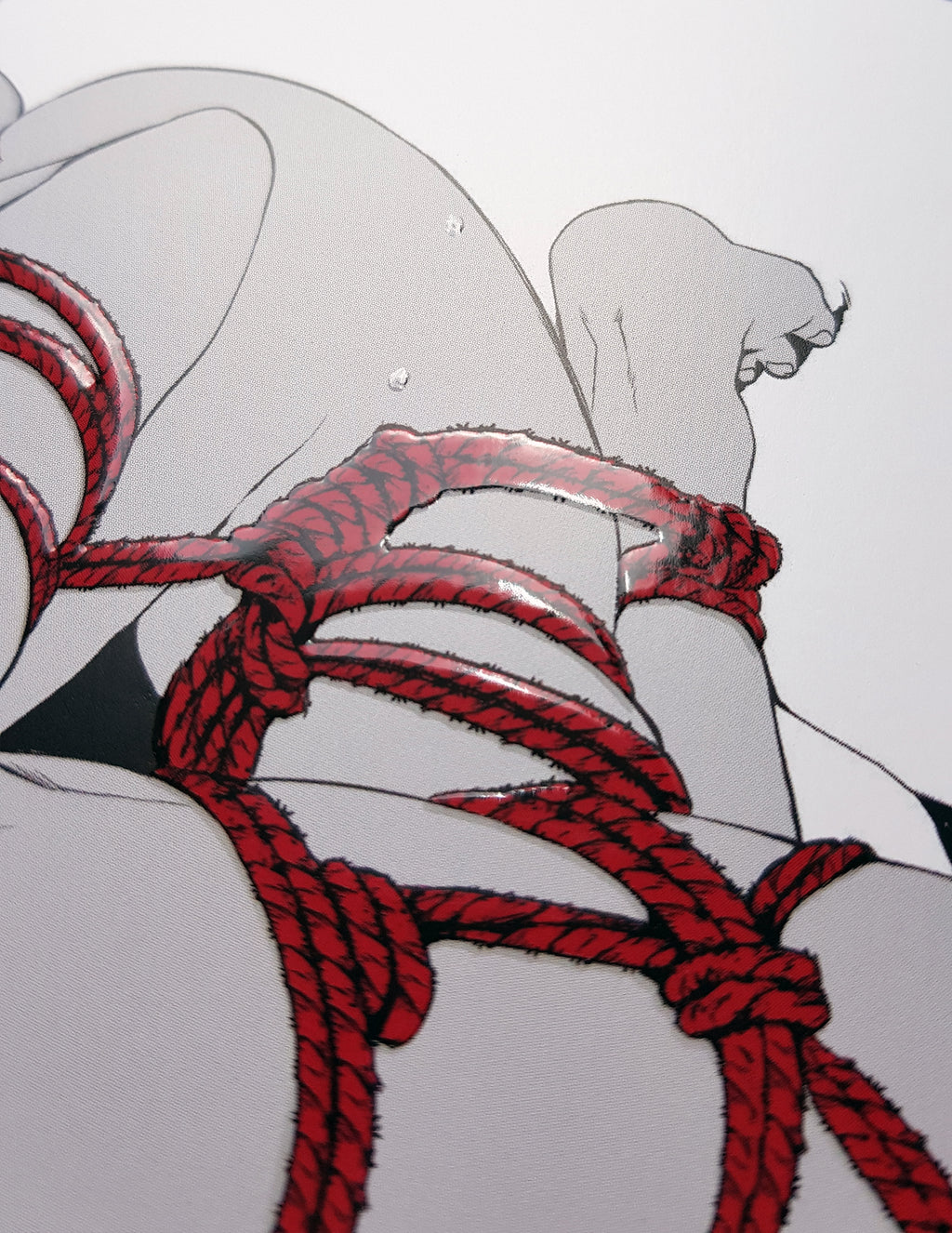 PRINT KINK21 - Shibari (partial relief varnish) - EDIllustration